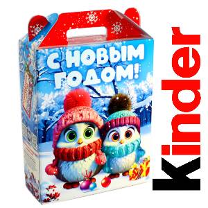 Детский подарок на Новый Год в жестяной упаковке весом 830 грамм по цене 3297 руб в Судогде